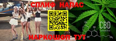 индика Мариинск
