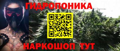 ALPHA PVP Малгобек