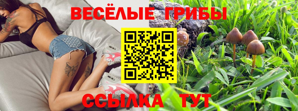 где купить   Вход с VPN  Орск  Галлюциногенные грибы Cubensis  Галлюциногенные грибы MAGIC MUSHROOMS 